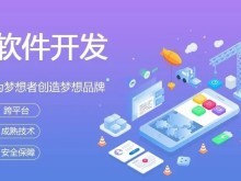 黃石App開發(fā)及軟件技術(shù)推廣服務(wù) 數(shù)字化賦能區(qū)域發(fā)展新動力
