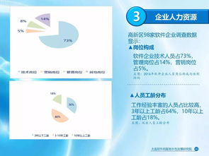2017年大連軟件和信息技術(shù)服務(wù)業(yè)發(fā)展報告正式發(fā)布 軟件技術(shù)推廣服務(wù)成為新亮點(diǎn)